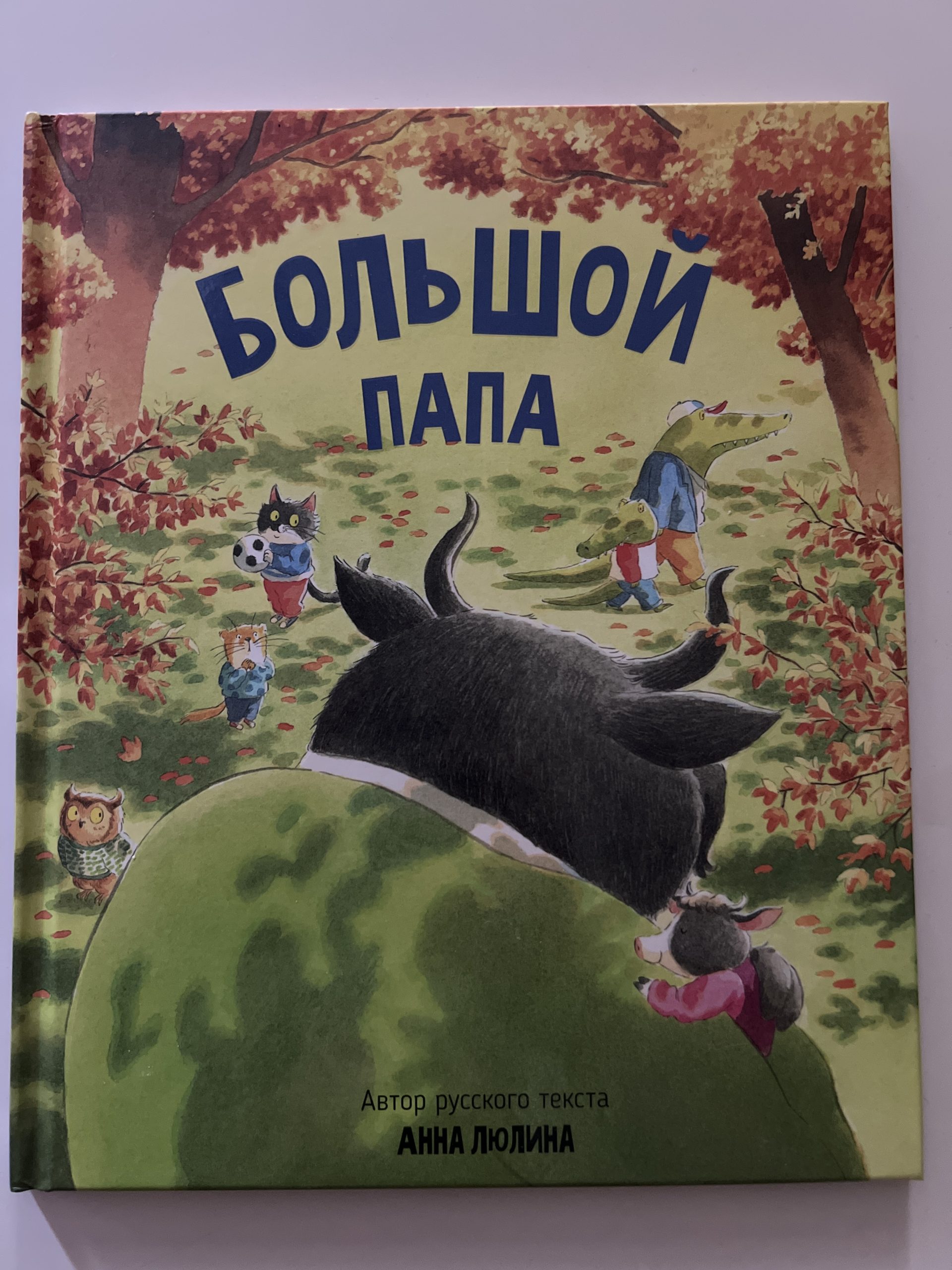 Большой папа